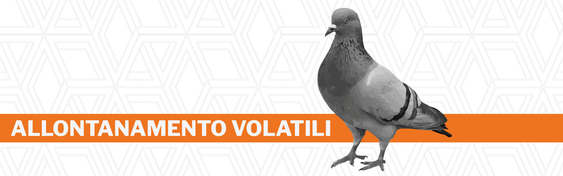 Allontanamento piccioni e volatili Urania srl